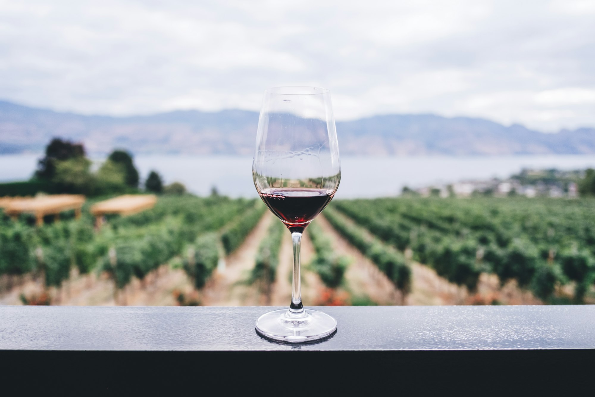 A glass of red wine on a stone ledge overlooking vineyards and a lake